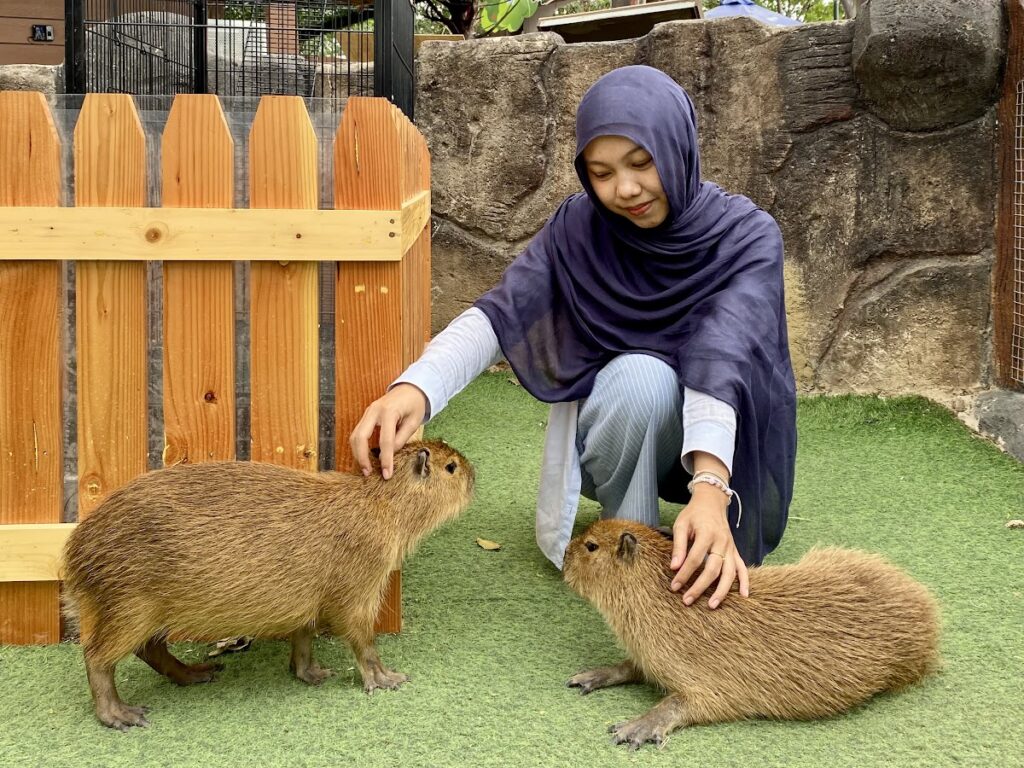 スカルノハッタ空港近く！ ふれあいミニ動物園｜Citra Interactive Zoo